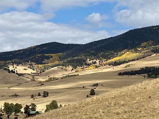50 Acres of Land for Sale in Cotopaxi, Colorado