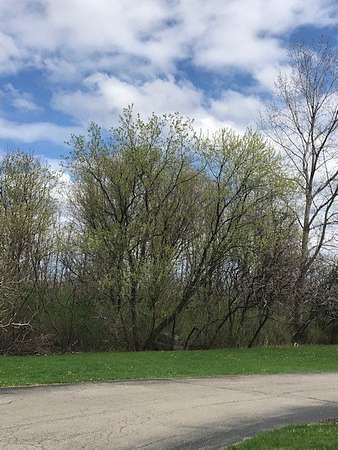 0.83 Acres of Commercial Land for Sale in Farmington, New York