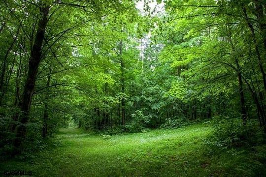 22 Acres of Recreational Land for Sale in Estell Manor, New Jersey
