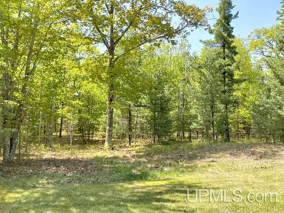 1.38 Acres of Residential Land for Sale in Rapid River, Michigan