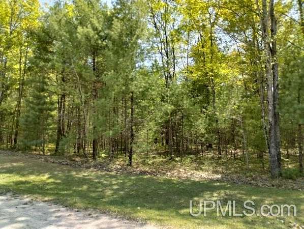 1 Acre of Residential Land for Sale in Rapid River, Michigan