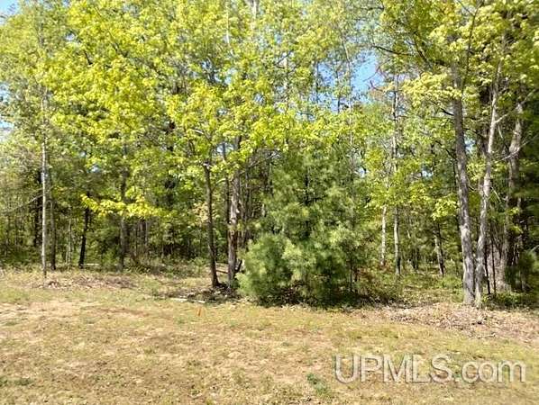 1 Acre of Residential Land for Sale in Rapid River, Michigan