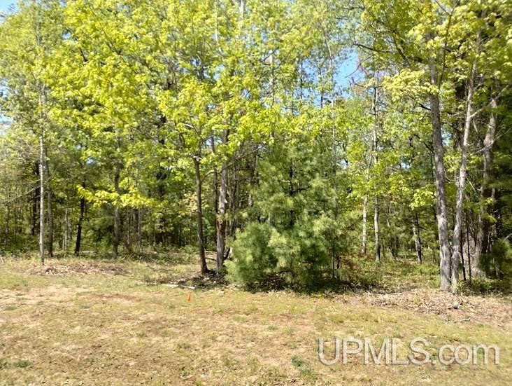 1.1 Acres of Residential Land for Sale in Rapid River, Michigan