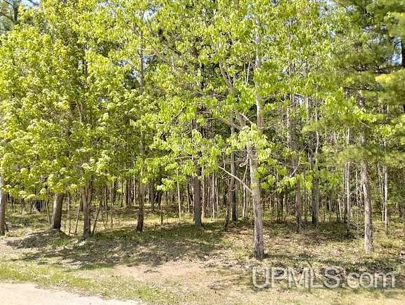 1.04 Acres of Residential Land for Sale in Rapid River, Michigan