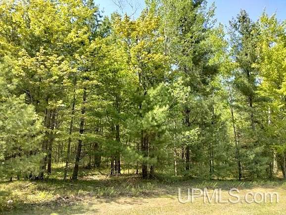 1.13 Acres of Residential Land for Sale in Rapid River, Michigan