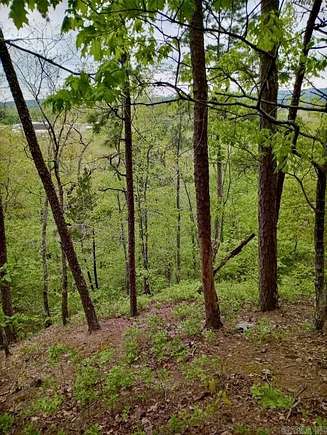 28.1 Acres of Recreational Land for Sale in Caddo Gap, Arkansas