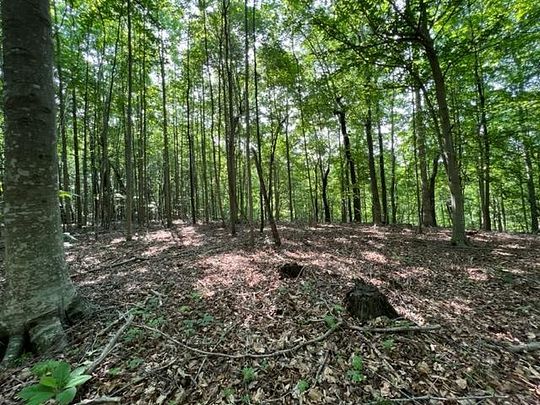 11 Acres of Recreational Land for Sale in Allons, Tennessee