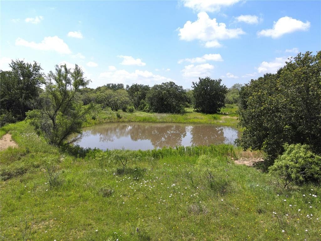 80 Acres of Agricultural Land for Sale in Gorman, Texas