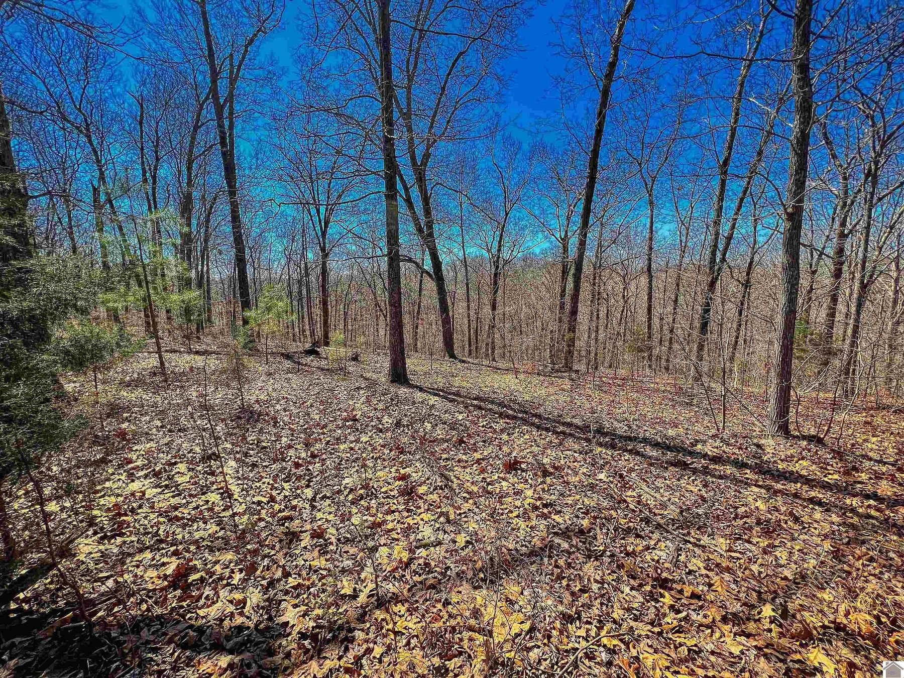 5.1 Acres of Residential Land for Sale in Murray, Kentucky