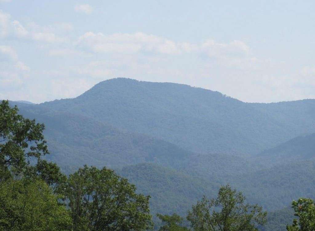 16.8 Acres of Land for Sale in Tuckasegee, North Carolina