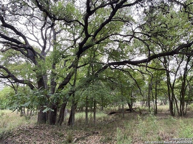 0.3 Acres of Residential Land for Sale in Selma, Texas