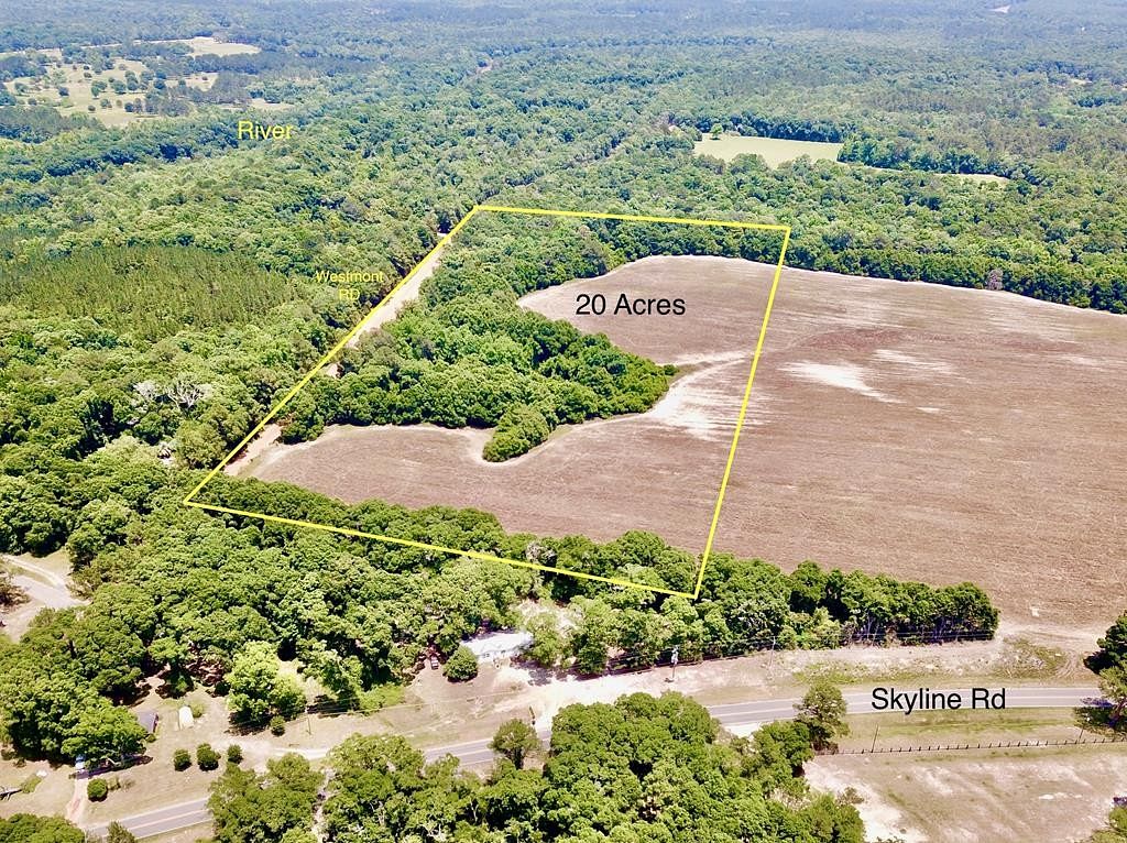 20 Acres of Recreational Land for Sale in Geneva, Alabama