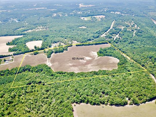 60 Acres of Recreational Land for Sale in Geneva, Alabama