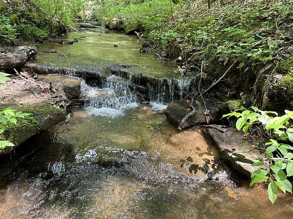 115 Acres of Recreational Land & Farm for Sale in Haleyville, Alabama