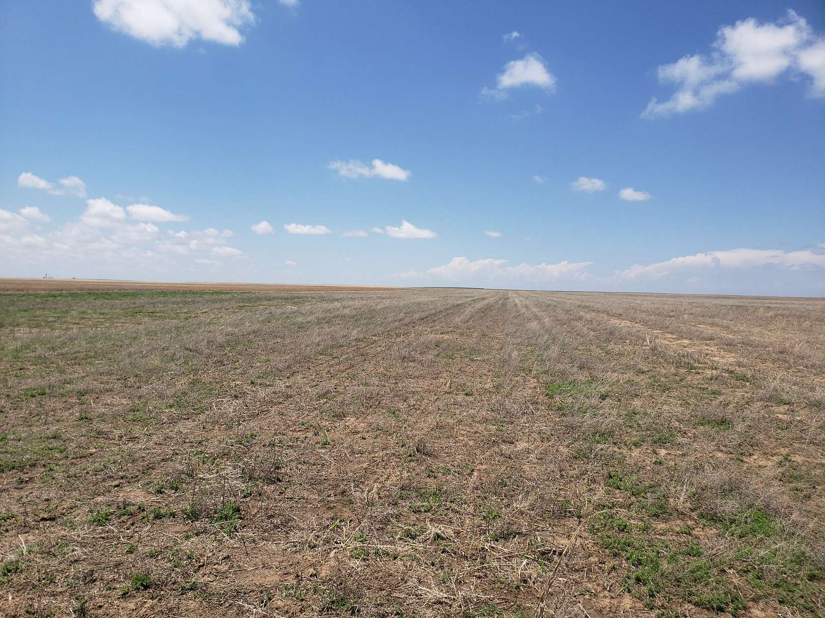 604 Acres of Recreational Land & Farm for Sale in Akron, Colorado