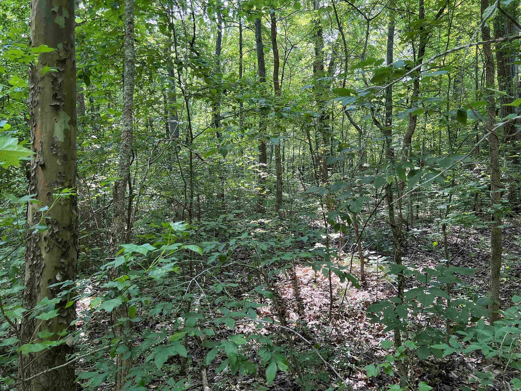 1.7 Acres of Residential Land for Sale in Big Sandy, Tennessee