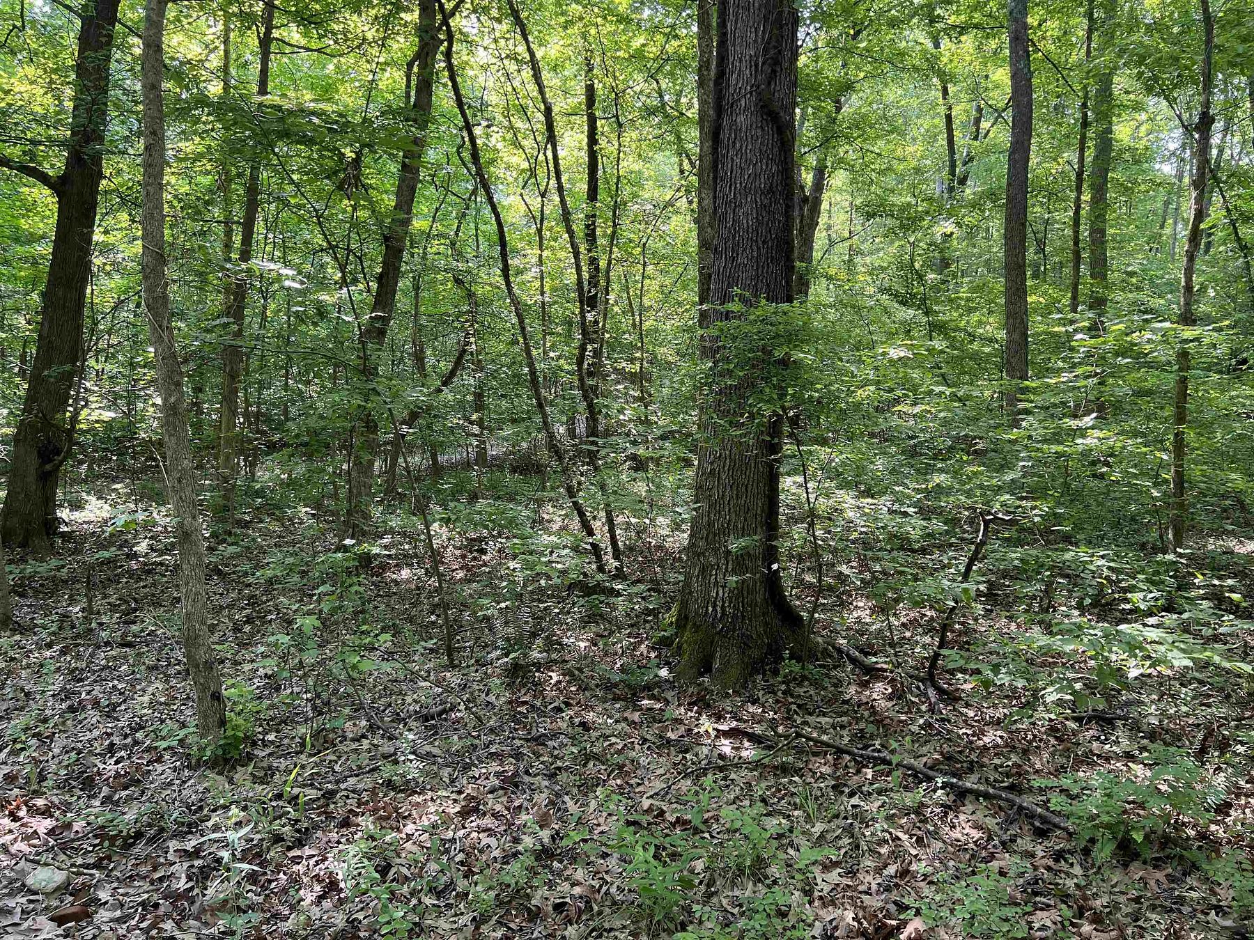 1.5 Acres of Residential Land for Sale in Big Sandy, Tennessee
