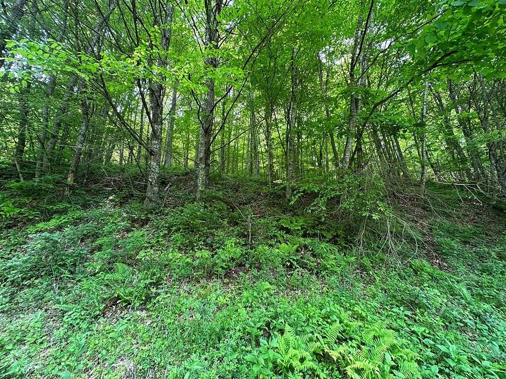 19.5 Acres of Recreational Land for Sale in Dugspur, Virginia