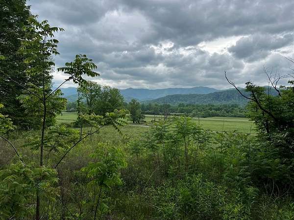 259 Acres of Land for Sale in Andrews, North Carolina