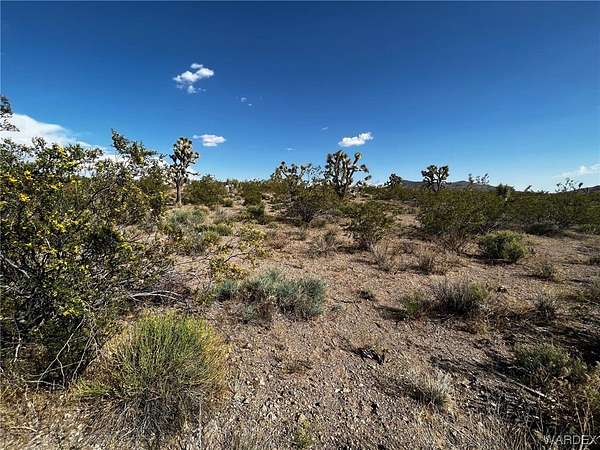 1.26 Acres of Land for Sale in White Hills, Arizona