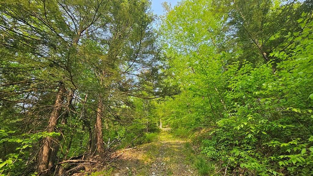 104.78 Acres of Recreational Land for Sale in Corning, New York