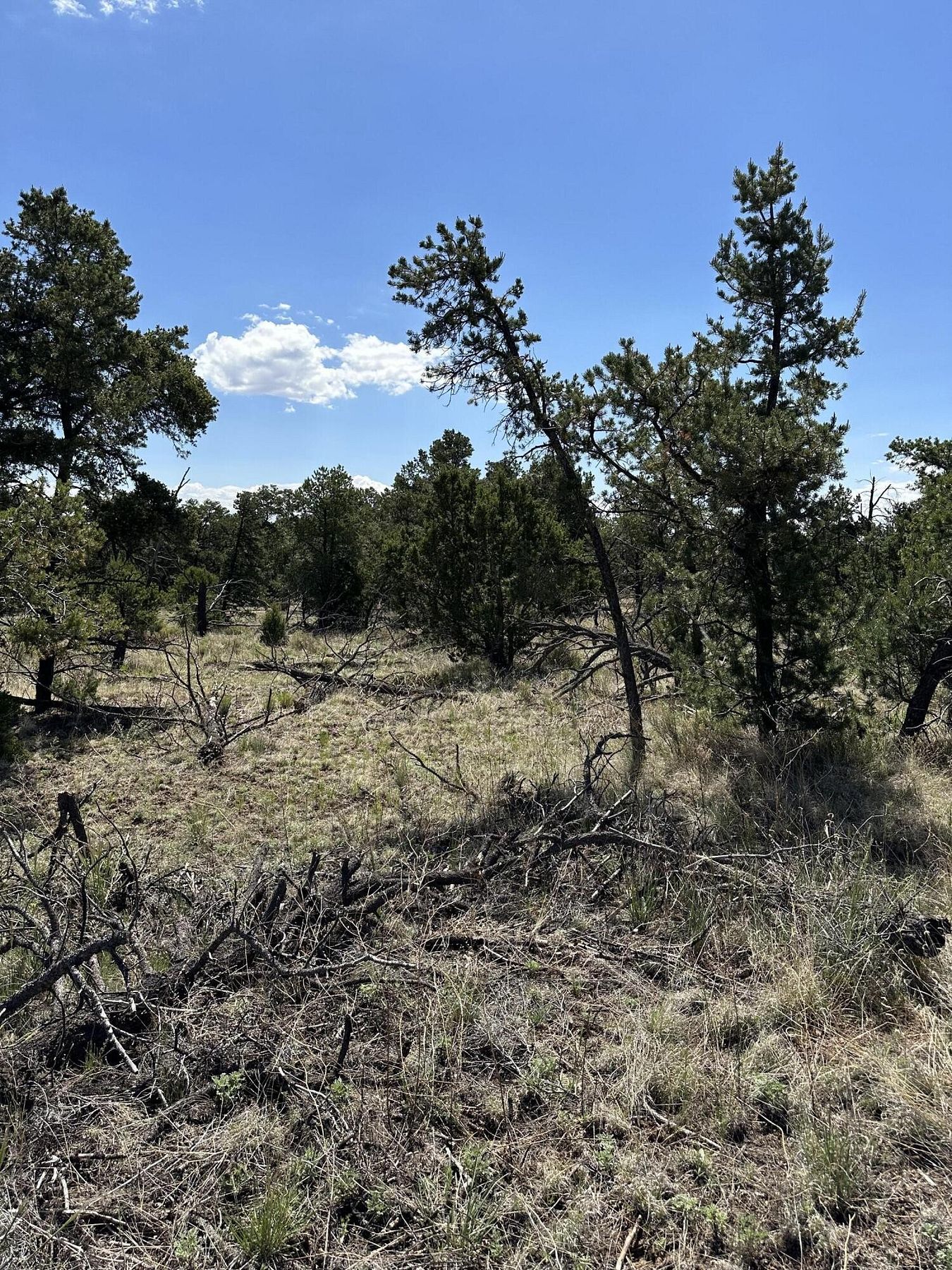 5.7 Acres of Land for Sale in Datil, New Mexico