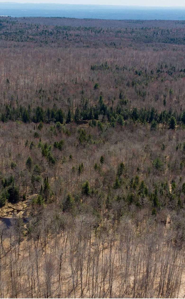 69.81 Acres of Land for Sale in Galway, New York