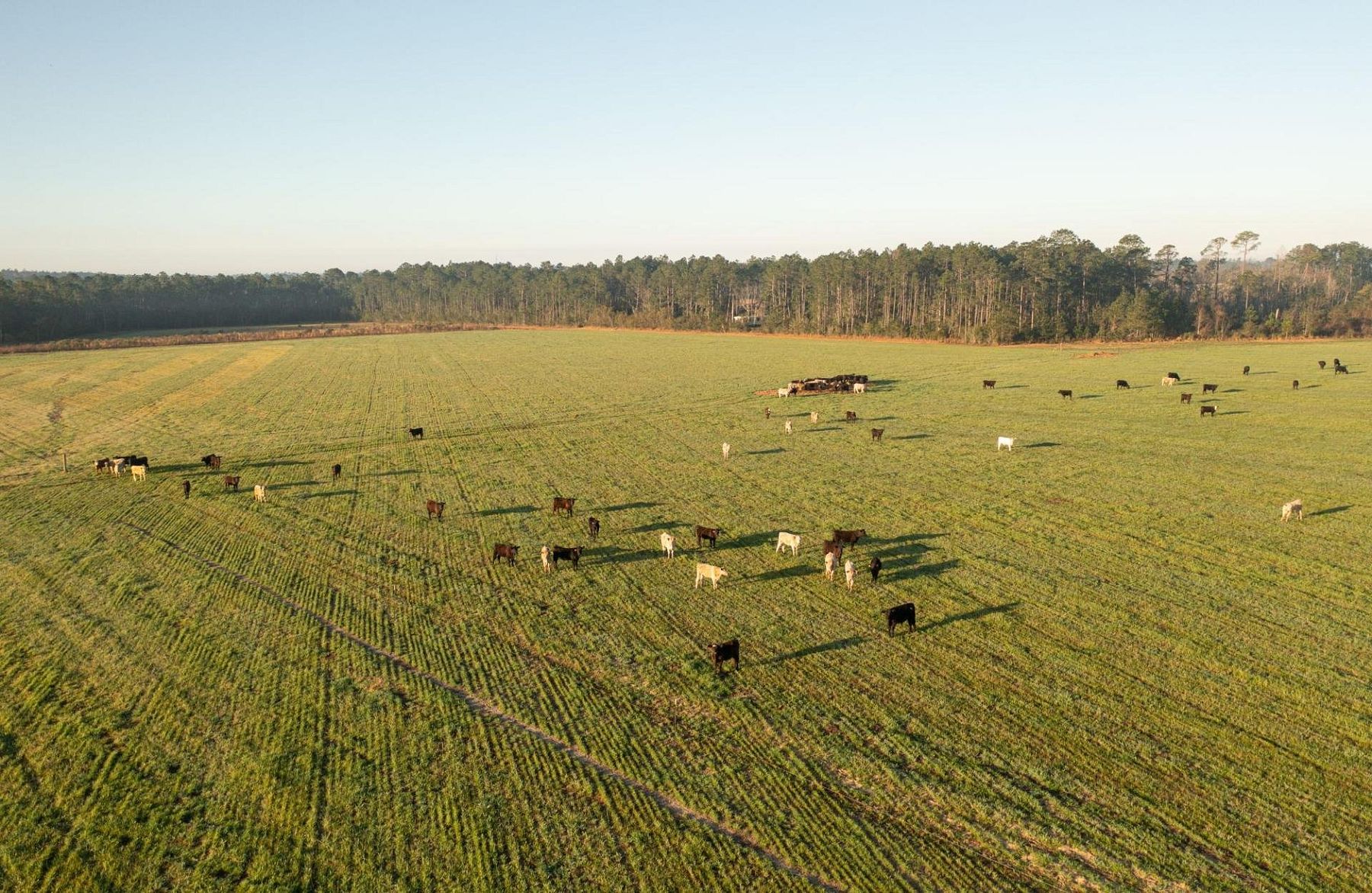 170 Acres of Land for Sale in Elberta, Alabama