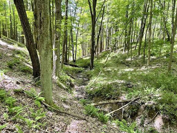8.3 Acres of Recreational Land for Sale in Ligonier, Pennsylvania