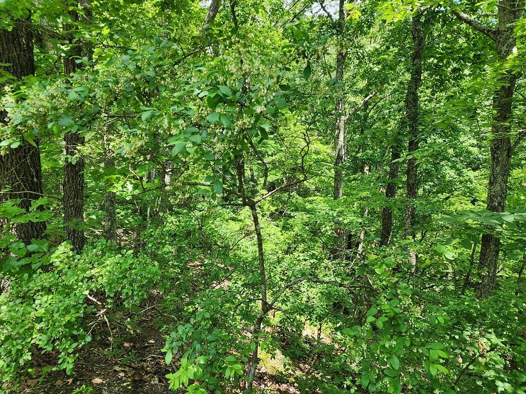 0.28 Acres of Residential Land for Sale in Holladay, Tennessee