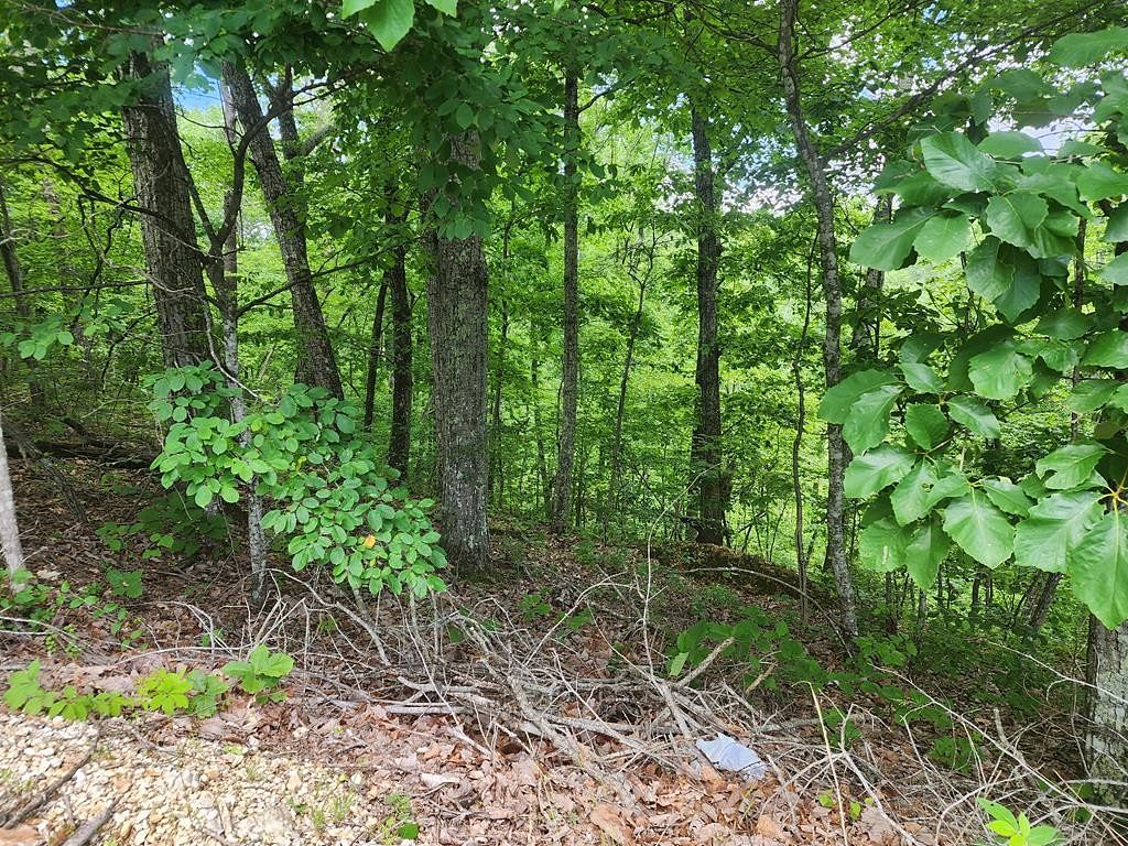 0.74 Acres of Residential Land for Sale in Holladay, Tennessee