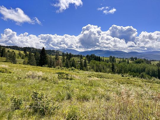 20 Acres of Agricultural Land for Sale in Curlew, Washington