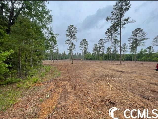 31 Acres of Agricultural Land for Sale in Florence, South Carolina