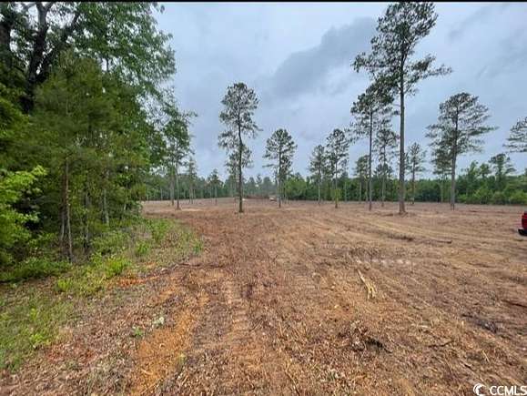 31 Acres of Agricultural Land for Sale in Florence, South Carolina