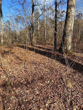 1.33 Acres of Residential Land for Sale in Franklin Township, North Carolina