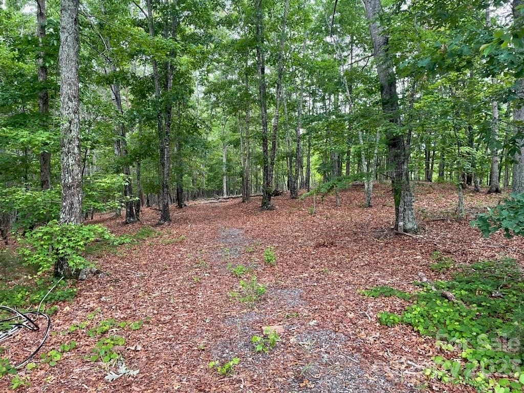 34.2 Acres of Recreational Land for Sale in Forest City, North Carolina