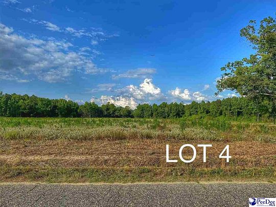 0.5 Acres of Mixed-Use Land for Sale in Hamer, South Carolina