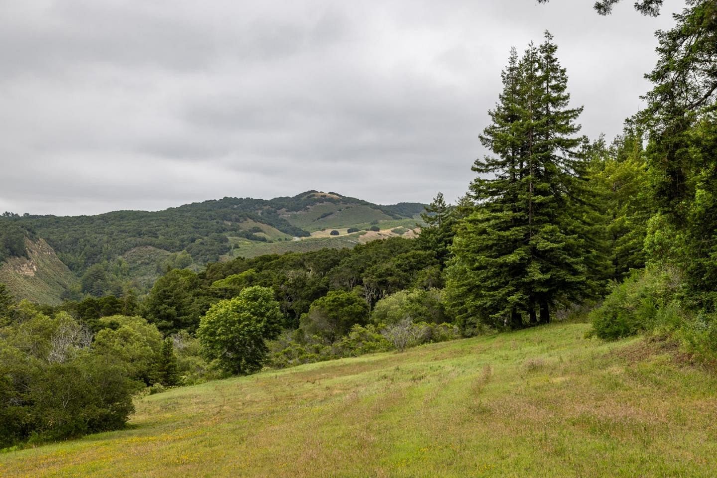 86.3 Acres of Agricultural Land for Sale in Carmel-by-the-Sea, California