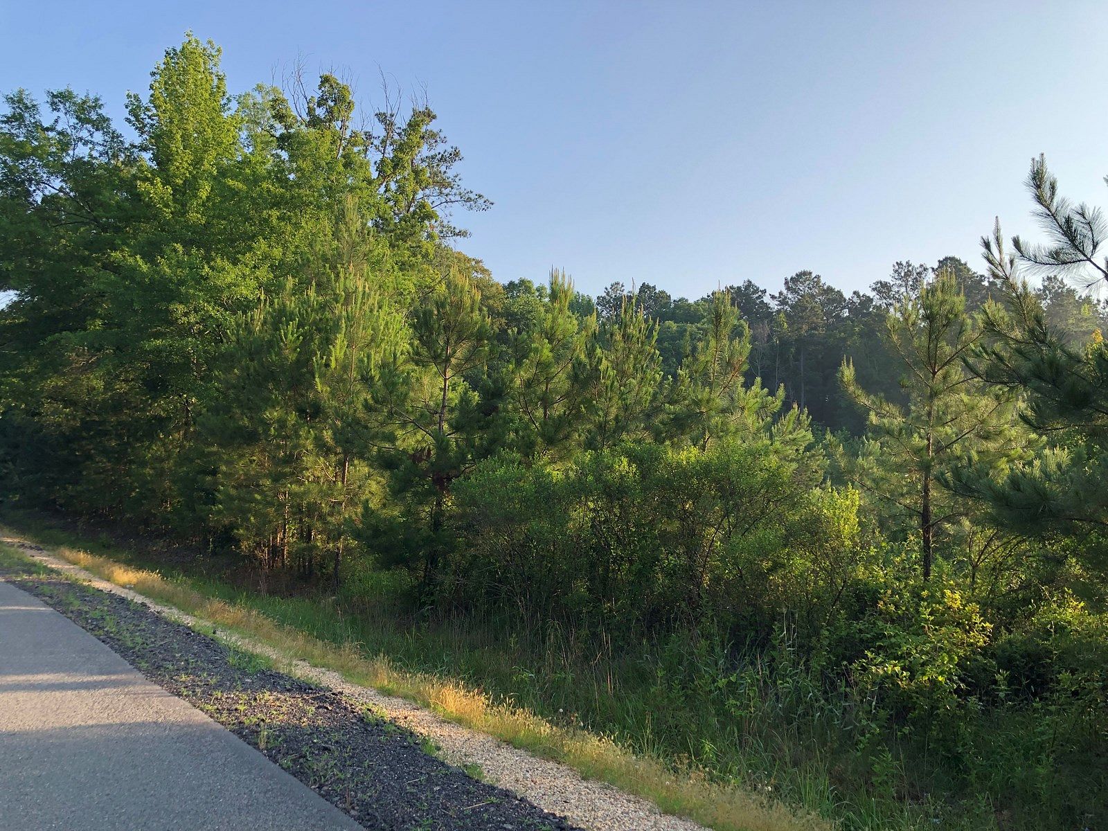 53.7 Acres of Land for Sale in Hermitage, Arkansas
