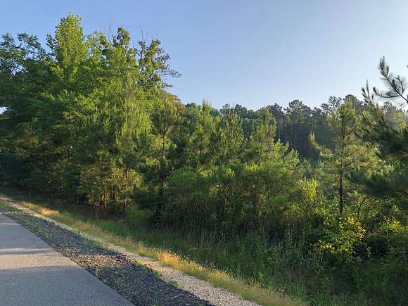 53.7 Acres of Land for Sale in Hermitage, Arkansas