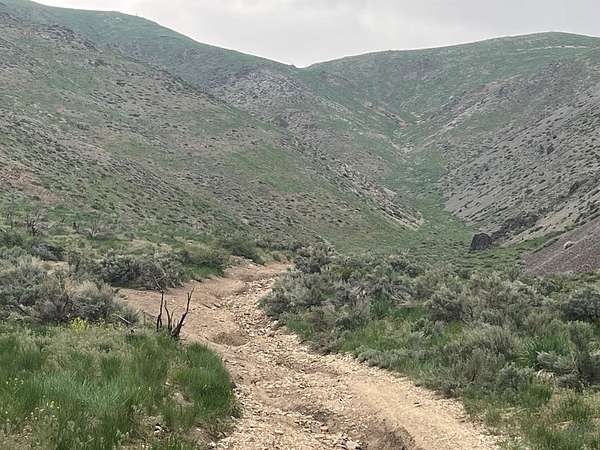 40 Acres of Land for Sale in Gardnerville, Nevada