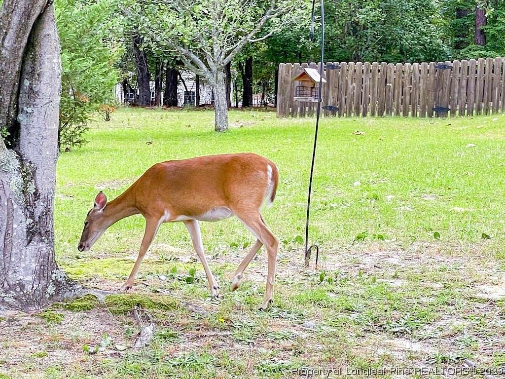 0.43 Acres of Residential Land for Sale in Sanford, North Carolina