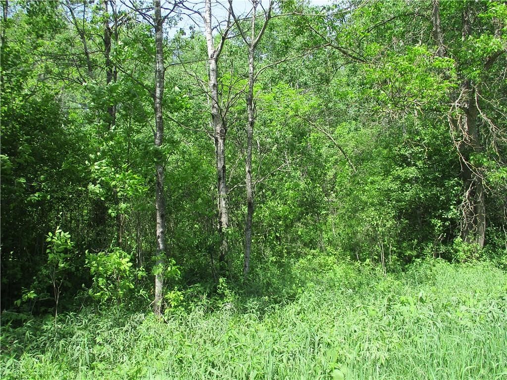 0.46 Acres of Residential Land for Sale in Birchwood, Wisconsin