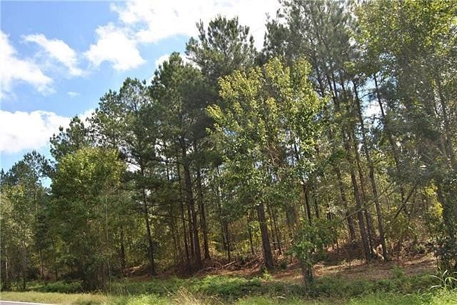 3.1 Acres of Land for Sale in Kinder, Louisiana