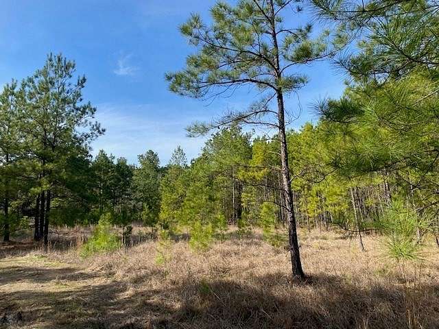 15 Acres of Land for Sale in Groveton, Texas