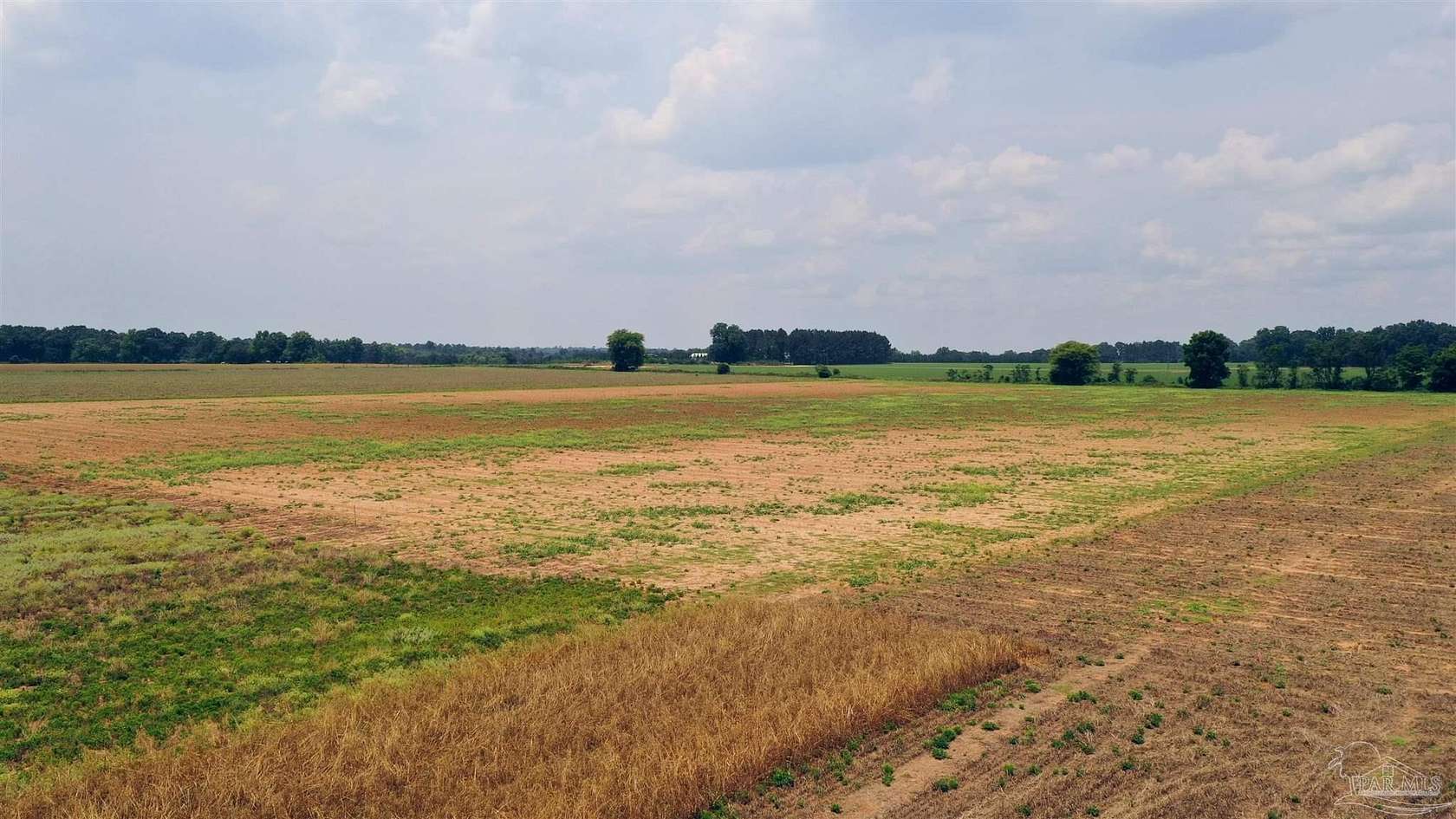 13.8 Acres of Land for Sale in Jay, Florida