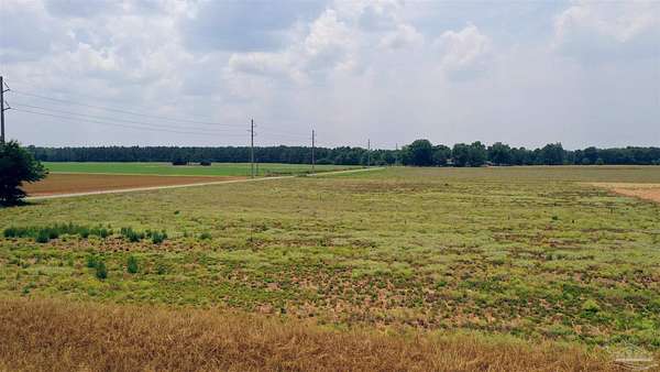 13.8 Acres of Land for Sale in Jay, Florida