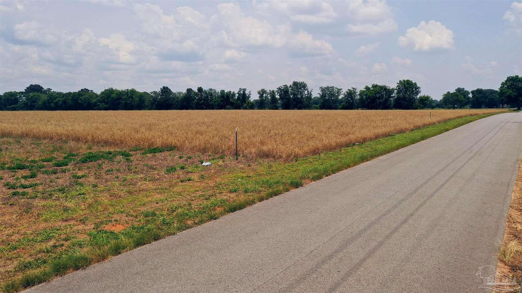 13.8 Acres of Recreational & Residential Land for Sale in Jay, Florida