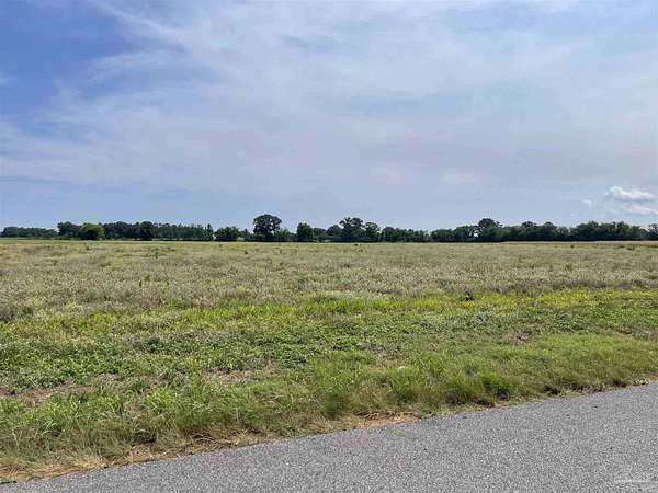 13.8 Acres of Land for Sale in Jay, Florida