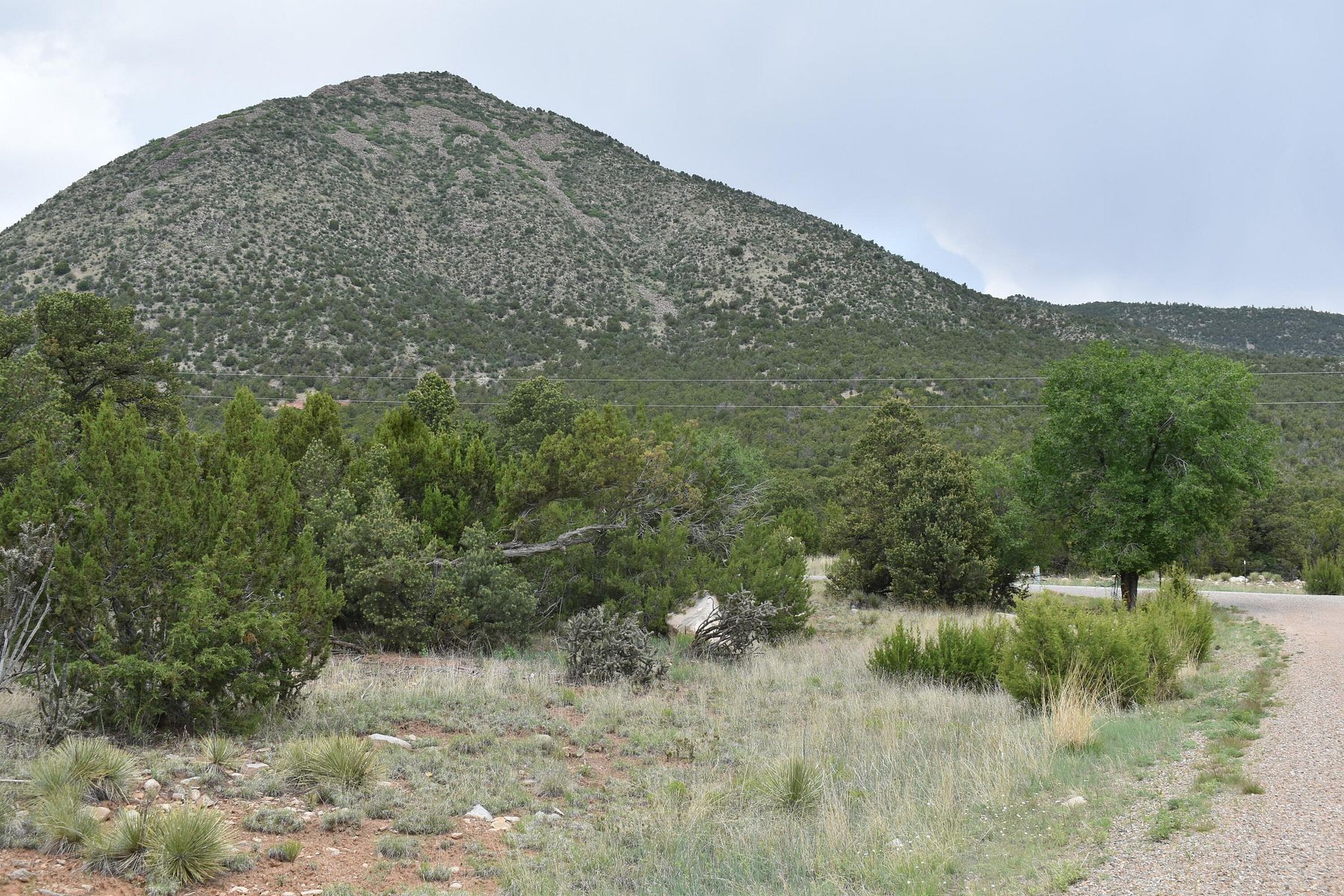 4 Acres of Land for Sale in Edgewood, New Mexico